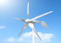 Chiny Mała turbina wiatrowa Dachowy generator wiatrowy domowy z panelem słonecznym PV firma