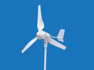 Chiny 400W 3 ostrza Turbina wiatrowa z kontrolerem MPPT Off Grid Smart Performance firma