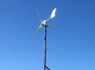 Chiny 3 ostrza Turbina wiatrowa 300W Mała moc Generator wiatrowy Wysoka wydajność Niski wiatr Start Up For House For Street Light firma